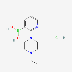 molecular formula C12H21BClN3O2 B7954896 [2-(4-Ethylpiperazin-1-yl)-5-methylpyridin-3-yl]boronic acid hydrochloride 