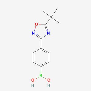 molecular formula C12H15BN2O3 B7954911 [4-(5-tert-Butyl-1,2,4-oxadiazol-3-yl)phenyl]boronic acid 