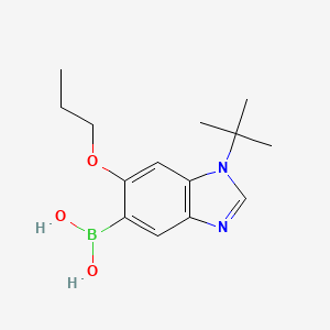 molecular formula C14H21BN2O3 B7954924 (1-tert-Butyl-6-propoxy-1,3-benzodiazol-5-yl)boronic acid 