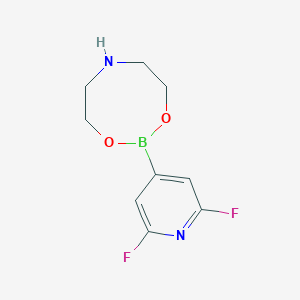 molecular formula C9H11BF2N2O2 B7954994 2-(2,6-Difluoropyridin-4-YL)-1,3,6,2-dioxazaborocane 