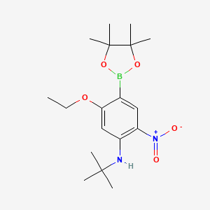 molecular formula C18H29BN2O5 B7955055 N-tert-Butyl-5-ethoxy-2-nitro-4-(tetramethyl-1,3,2-dioxaborolan-2-yl)aniline 