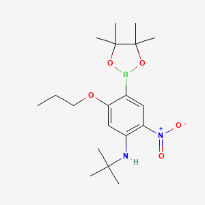 molecular formula C19H31BN2O5 B7955062 N-tert-Butyl-2-nitro-5-propoxy-4-(tetramethyl-1,3,2-dioxaborolan-2-yl)aniline 
