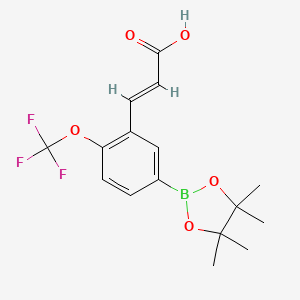 molecular formula C16H18BF3O5 B7955190 (2E)-3-[5-(Tetramethyl-1,3,2-dioxaborolan-2-yl)-2-(trifluoromethoxy)phenyl]prop-2-enoic acid 