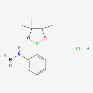 molecular formula C12H20BClN2O2 B7955254 [2-(Tetramethyl-1,3,2-dioxaborolan-2-yl)phenyl]hydrazine hydrochloride 