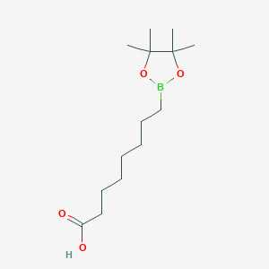 molecular formula C14H27BO4 B7955259 8-(Tetramethyl-1,3,2-dioxaborolan-2-yl)octanoic acid 