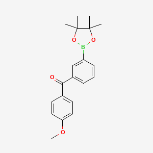 molecular formula C20H23BO4 B7955336 2-{3-[(4-Methoxyphenyl)carbonyl]phenyl}-4,4,5,5-tetramethyl-1,3,2-dioxaborolane 