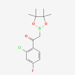 molecular formula C14H17BClFO3 B7955348 1-(2-Chloro-4-fluorophenyl)-2-(tetramethyl-1,3,2-dioxaborolan-2-yl)ethanone 