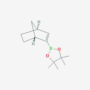 molecular formula C13H21BO2 B7955369 Bicyclo[2.2.1]hept-2-en-2-ylboronic acid pinacol ester 