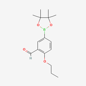 molecular formula C16H23BO4 B7955383 2-Propoxy-5-(tetramethyl-1,3,2-dioxaborolan-2-yl)benzaldehyde 