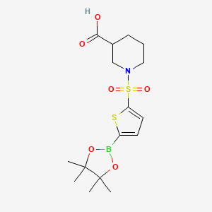 molecular formula C16H24BNO6S2 B7955402 1-[5-(Tetramethyl-1,3,2-dioxaborolan-2-yl)thiophene-2-sulfonyl]piperidine-3-carboxylic acid 