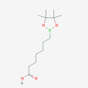 molecular formula C13H25BO4 B7955409 7-(Tetramethyl-1,3,2-dioxaborolan-2-yl)heptanoic acid 