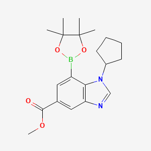 molecular formula C20H27BN2O4 B7955450 Methyl 1-cyclopentyl-7-(tetramethyl-1,3,2-dioxaborolan-2-yl)-1,3-benzodiazole-5-carboxylate 
