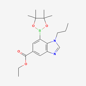 molecular formula C19H27BN2O4 B7955456 Ethyl 1-propyl-7-(tetramethyl-1,3,2-dioxaborolan-2-yl)-1,3-benzodiazole-5-carboxylate 