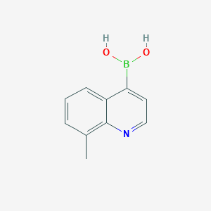 molecular formula C10H10BNO2 B7955916 (8-Methylquinolin-4-yl)boronic acid 