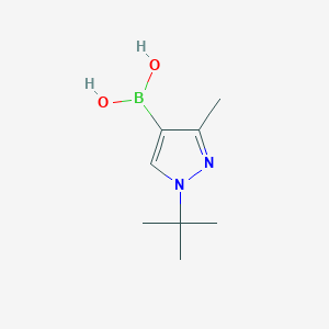 molecular formula C8H15BN2O2 B7955923 (1-tert-Butyl-3-methylpyrazol-4-yl)boronic acid 