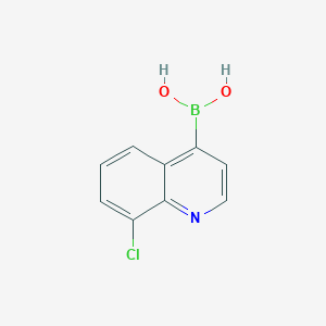 molecular formula C9H7BClNO2 B7955934 (8-Chloroquinolin-4-yl)boronic acid 