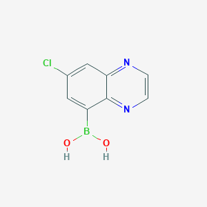 molecular formula C8H6BClN2O2 B7955946 (7-Chloroquinoxalin-5-yl)boronic acid 