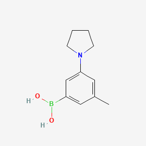 molecular formula C11H16BNO2 B7955961 [3-Methyl-5-(pyrrolidin-1-yl)phenyl]boronic acid 