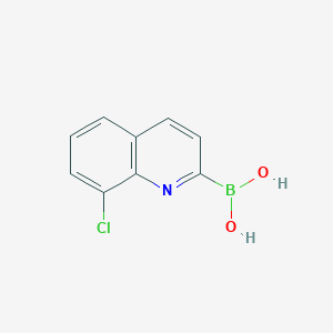 molecular formula C9H7BClNO2 B7955967 (8-Chloroquinolin-2-yl)boronic acid 