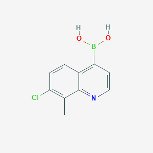 molecular formula C10H9BClNO2 B7955987 (7-Chloro-8-methylquinolin-4-yl)boronic acid 