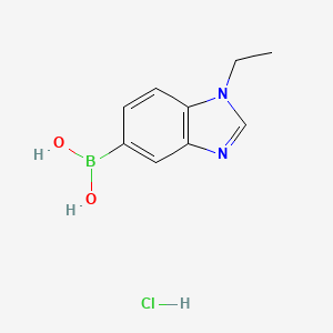 molecular formula C9H12BClN2O2 B7955998 (1-Ethyl-1,3-benzodiazol-5-yl)boronic acid hydrochloride 