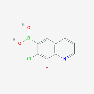 molecular formula C9H6BClFNO2 B7956015 (7-Chloro-8-fluoroquinolin-6-yl)boronic acid 