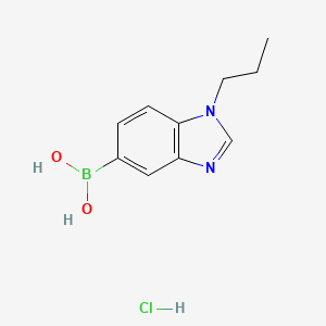 molecular formula C10H14BClN2O2 B7956035 (1-Propyl-1,3-benzodiazol-5-yl)boronic acid hydrochloride 