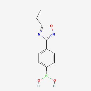 molecular formula C10H11BN2O3 B7956057 4-(5-Ethyl-1,2,4-oxadiazol-3-YL)phenylboronic acid 