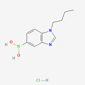 molecular formula C11H16BClN2O2 B7956064 (1-Butyl-1,3-benzodiazol-5-yl)boronic acid hydrochloride 