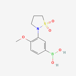 molecular formula C10H14BNO5S B7956117 3-(1,1-Dioxo-1,2-thiazolidin-2-yl)-4-methoxyphenylboronic acid 