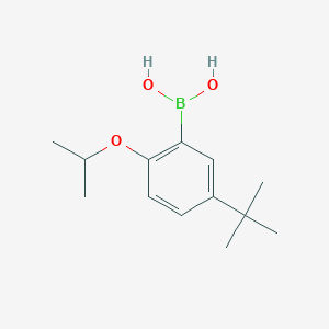 molecular formula C13H21BO3 B7956124 (5-tert-Butyl-2-isopropoxyphenyl)boronic acid 