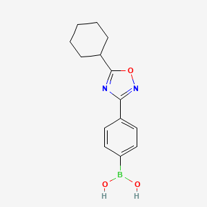 molecular formula C14H17BN2O3 B7956179 [4-(5-Cyclohexyl-1,2,4-oxadiazol-3-yl)phenyl]boronic acid 