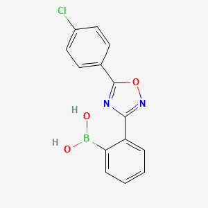 molecular formula C14H10BClN2O3 B7956199 {2-[5-(4-Chlorophenyl)-1,2,4-oxadiazol-3-yl]phenyl}boronic acid 