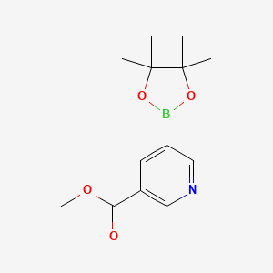 molecular formula C14H20BNO4 B7956243 Methyl 2-methyl-5-(4,4,5,5-tetramethyl-1,3,2-dioxaborolan-2-YL)nicotinate 