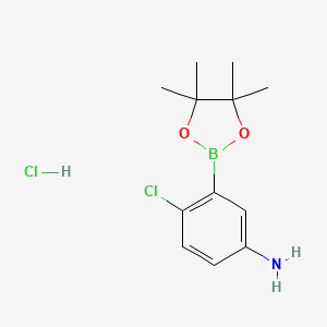 molecular formula C12H18BCl2NO2 B7956253 4-Chloro-3-(4,4,5,5-tetramethyl-1,3,2-dioxaborolan-2-yl)aniline hydrochloride 