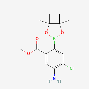 molecular formula C14H19BClNO4 B7956302 Methyl 5-amino-4-chloro-2-(tetramethyl-1,3,2-dioxaborolan-2-yl)benzoate 