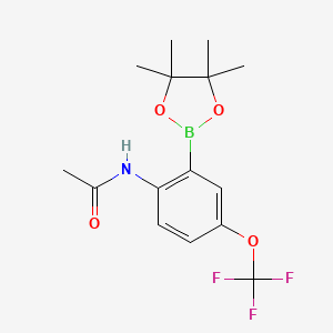 molecular formula C15H19BF3NO4 B7956306 N-[2-(Tetramethyl-1,3,2-dioxaborolan-2-yl)-4-(trifluoromethoxy)phenyl]acetamide 