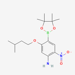 molecular formula C17H27BN2O5 B7956307 5-(3-Methylbutoxy)-2-nitro-4-(tetramethyl-1,3,2-dioxaborolan-2-yl)aniline 