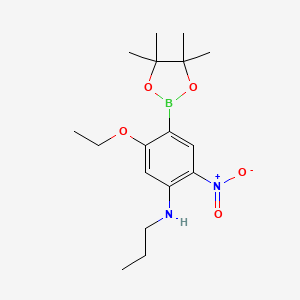 molecular formula C17H27BN2O5 B7956320 5-Ethoxy-2-nitro-N-propyl-4-(tetramethyl-1,3,2-dioxaborolan-2-yl)aniline 