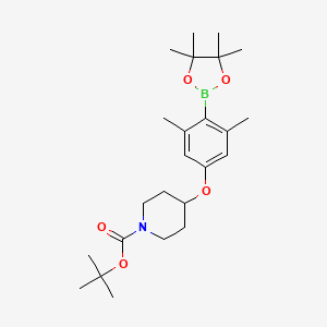 molecular formula C24H38BNO5 B7956341 tert-Butyl 4-[3,5-dimethyl-4-(tetramethyl-1,3,2-dioxaborolan-2-yl)phenoxy]piperidine-1-carboxylate 