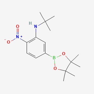 molecular formula C16H25BN2O4 B7956370 N-tert-Butyl-2-nitro-5-(tetramethyl-1,3,2-dioxaborolan-2-yl)aniline 