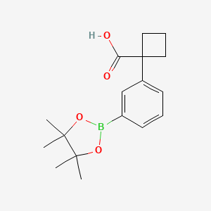 molecular formula C17H23BO4 B7956380 1-[3-(Tetramethyl-1,3,2-dioxaborolan-2-yl)phenyl]cyclobutane-1-carboxylic acid 