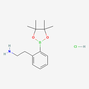 molecular formula C14H23BClNO2 B7956478 2-[2-(Tetramethyl-1,3,2-dioxaborolan-2-yl)phenyl]ethanamine hydrochloride 