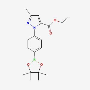 molecular formula C19H25BN2O4 B7956523 Ethyl 5-methyl-2-[4-(tetramethyl-1,3,2-dioxaborolan-2-yl)phenyl]pyrazole-3-carboxylate 