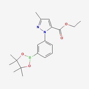 molecular formula C19H25BN2O4 B7956531 Ethyl 5-methyl-2-[3-(tetramethyl-1,3,2-dioxaborolan-2-yl)phenyl]pyrazole-3-carboxylate 