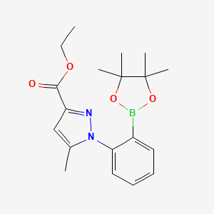 molecular formula C19H25BN2O4 B7956538 Ethyl 5-methyl-1-[2-(tetramethyl-1,3,2-dioxaborolan-2-yl)phenyl]pyrazole-3-carboxylate 