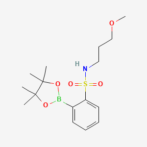 molecular formula C16H26BNO5S B7956590 N-(3-Methoxypropyl)-2-(tetramethyl-1,3,2-dioxaborolan-2-yl)benzenesulfonamide 
