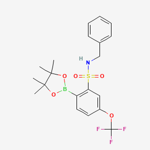 molecular formula C20H23BF3NO5S B7956627 N-Benzyl-2-(tetramethyl-1,3,2-dioxaborolan-2-yl)-5-(trifluoromethoxy)benzenesulfonamide 