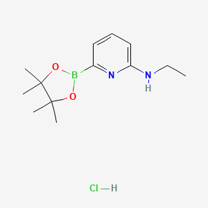 molecular formula C13H22BClN2O2 B7956643 N-Ethyl-6-(tetramethyl-1,3,2-dioxaborolan-2-yl)pyridin-2-amine hydrochloride 