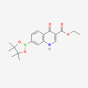 molecular formula C18H22BNO5 B7956644 Ethyl 4-hydroxy-7-(tetramethyl-1,3,2-dioxaborolan-2-yl)quinoline-3-carboxylate 